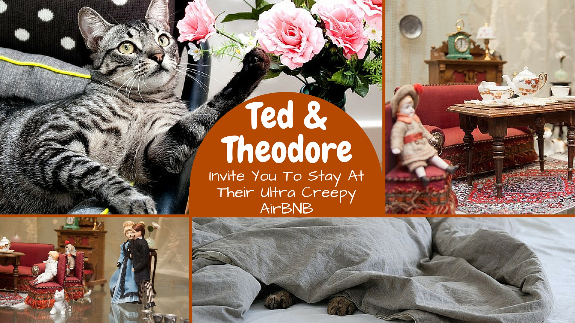 Ted & Theodore Invite You To Stay At Their AirBNB