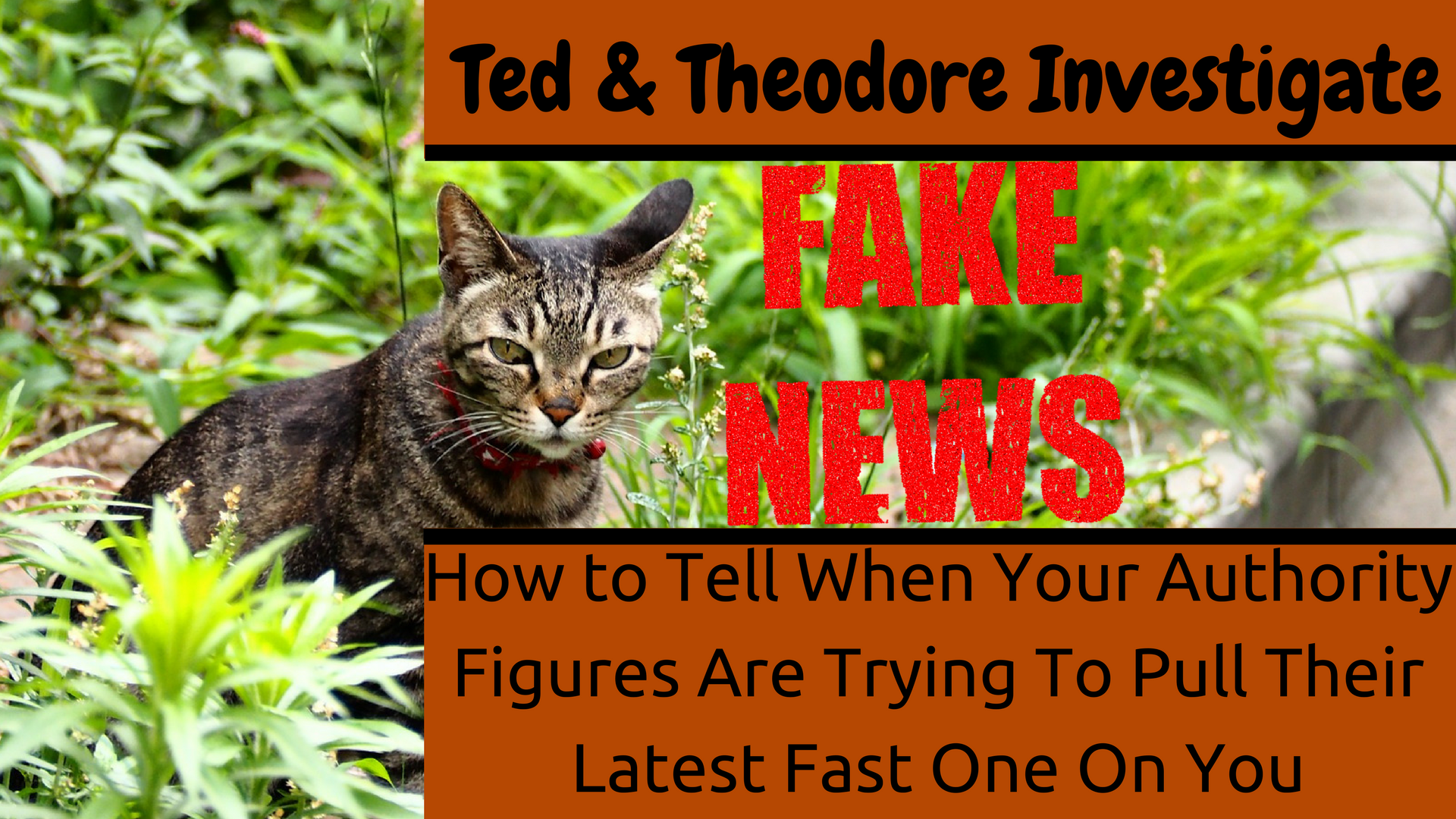 How to Spot Fake News
