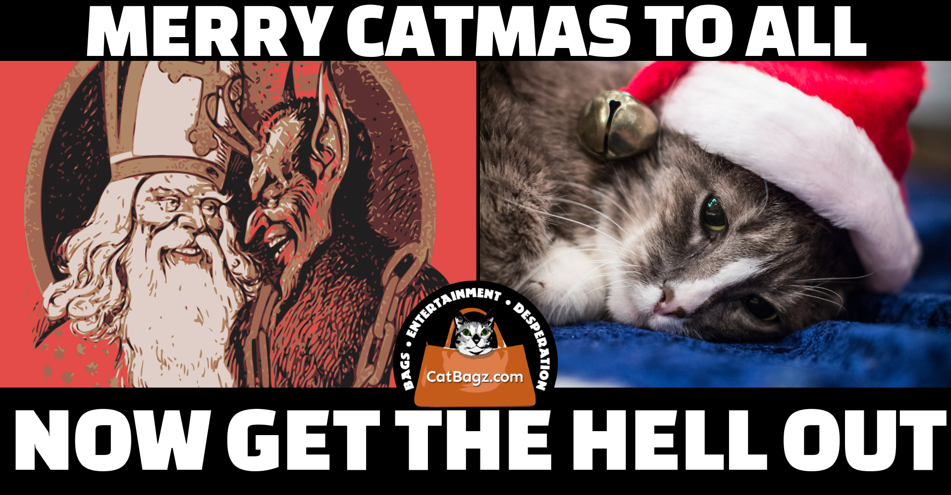Merry Catmas to All