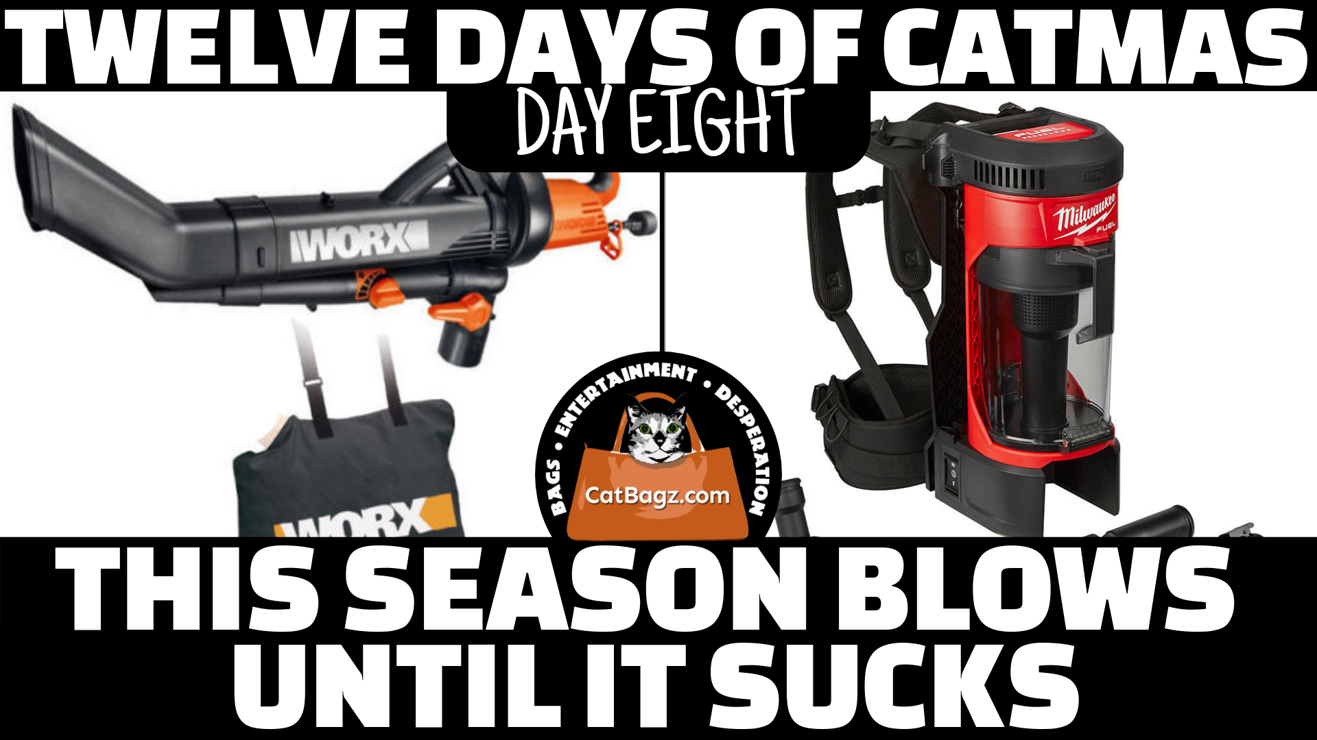 Twelve Days of Catmas - Day 8