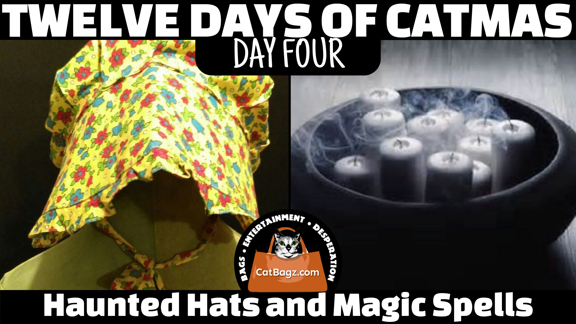 Twelve Days of Catmas - Day 4