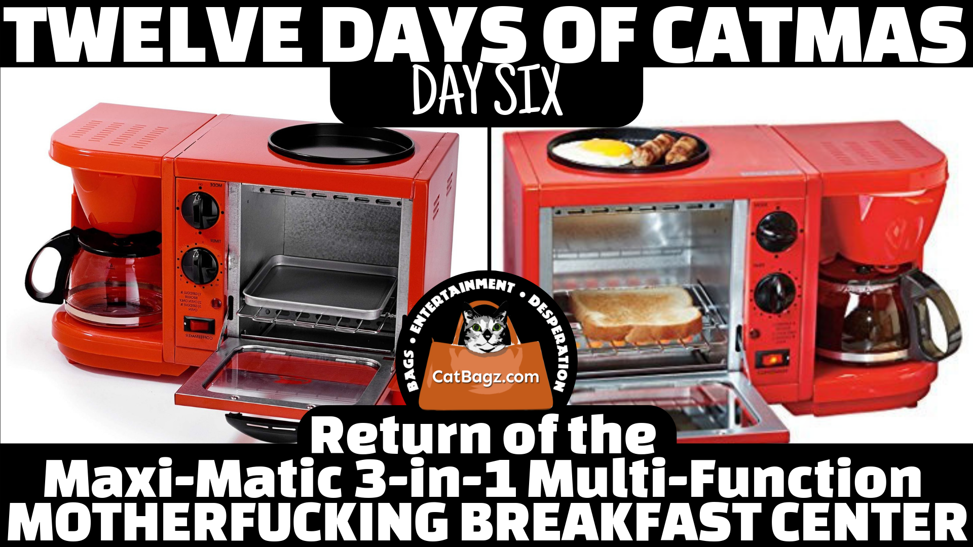 Twelve Days of Catmas - Day 6