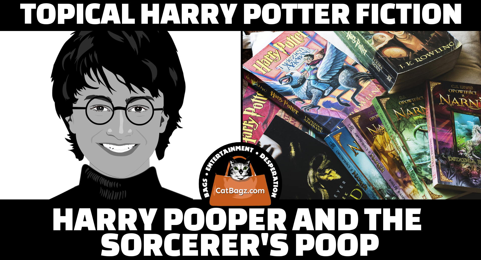 Topical Harry Potter Fiction