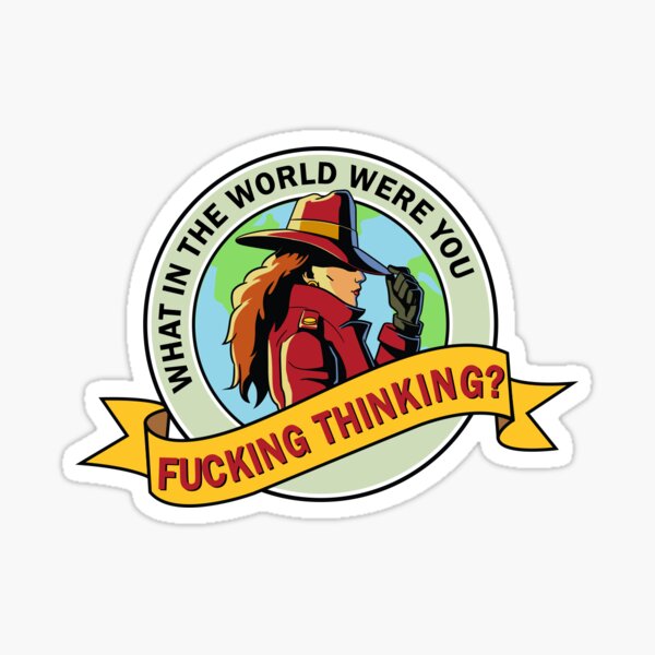 What in the World Were You Fucking Thinking? Sticker
