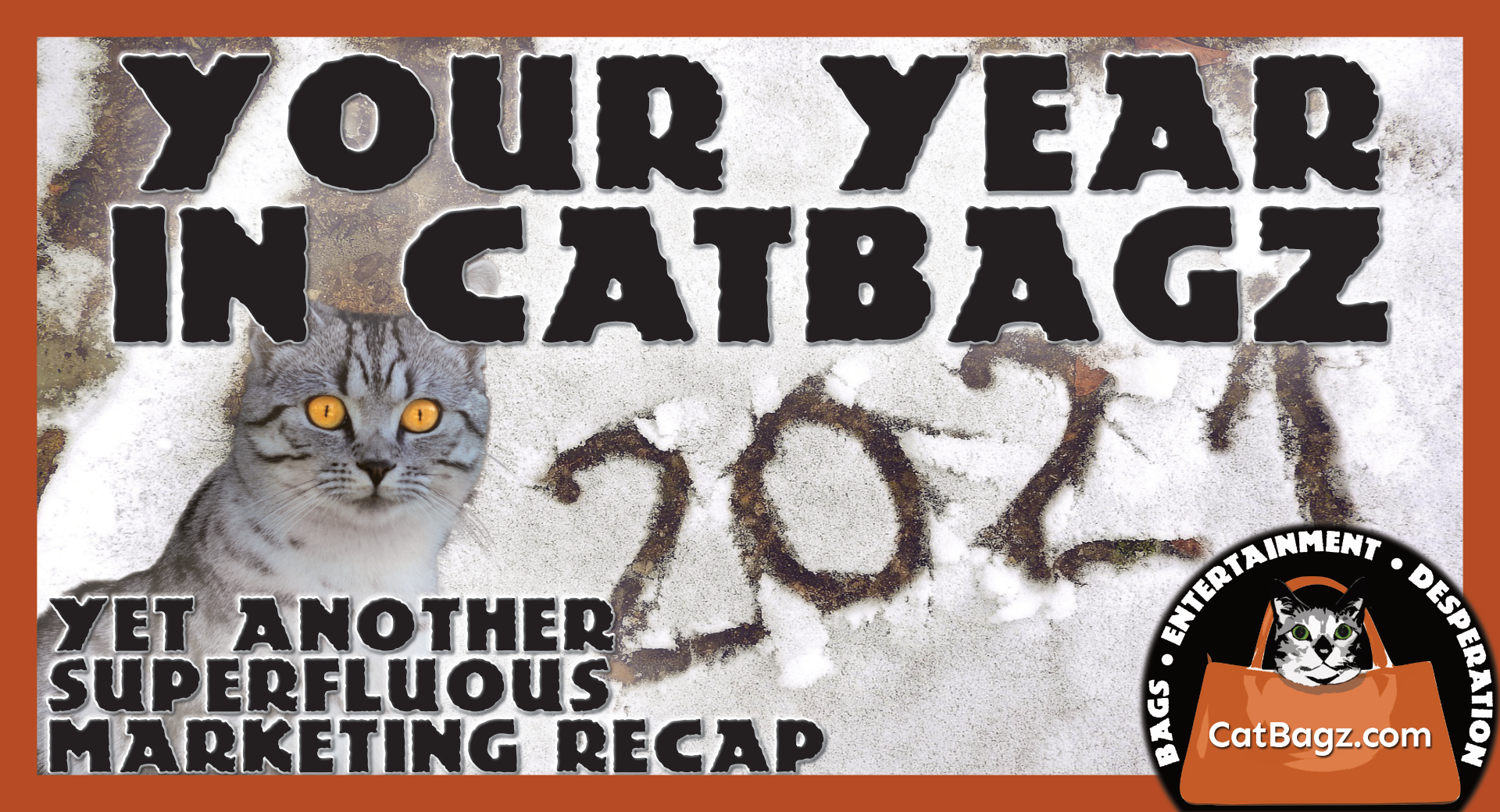 Your Year in CatBagz